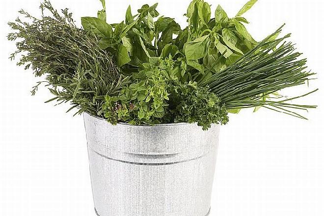 Mięta, rumianek, prawoślaz lekarski, szałwia, tymianek - zioła, które korzystnie wpływają na zdrowie